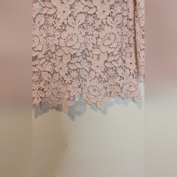 Joie Charnette Floral Lace Top in Rosewater - Picture 8 of 8